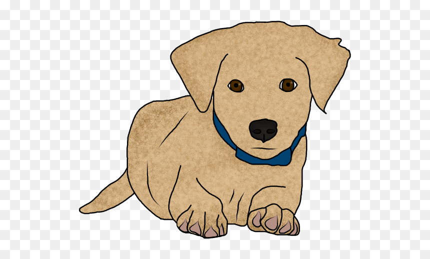 Dachshund, HD Png Download - perro png