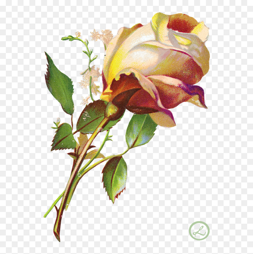 Ecstasy Crafts 3-d Precut Sheet - Клипарт Цветы, HD Png Download - flores vintage png