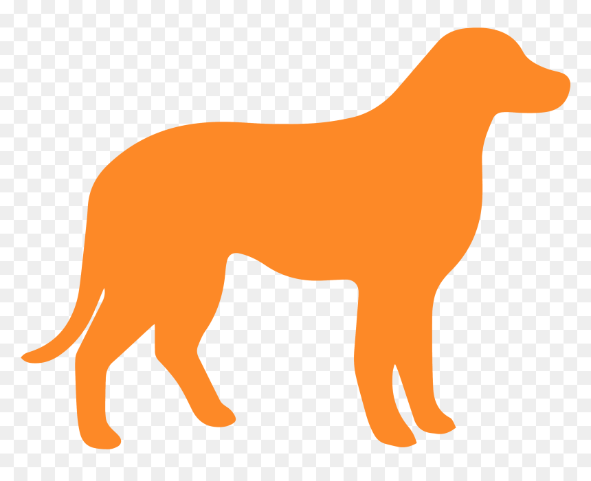 Dog Feeding Stand, HD Png Download - perro png