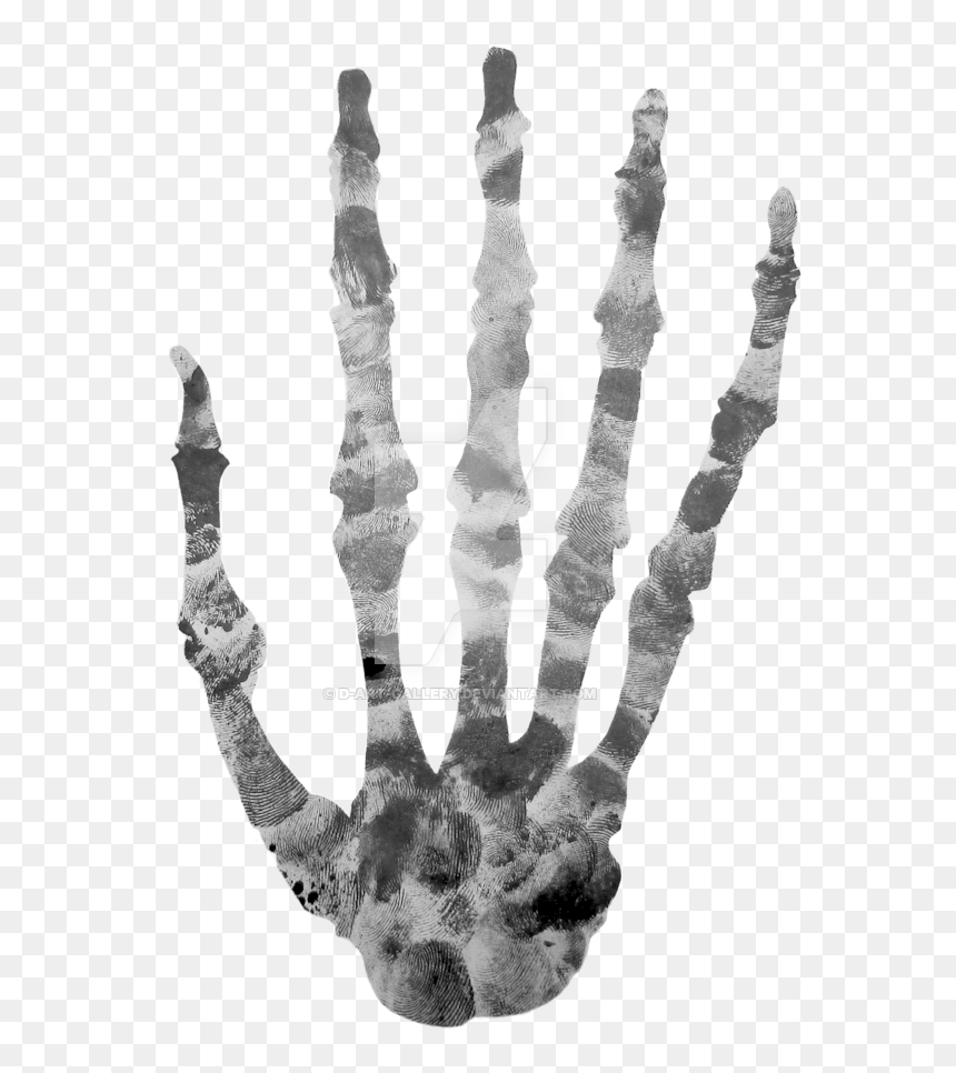 Finger Printed Skeleton By - Skeleton Finger Transparent, HD Png Download - skeleton hand png