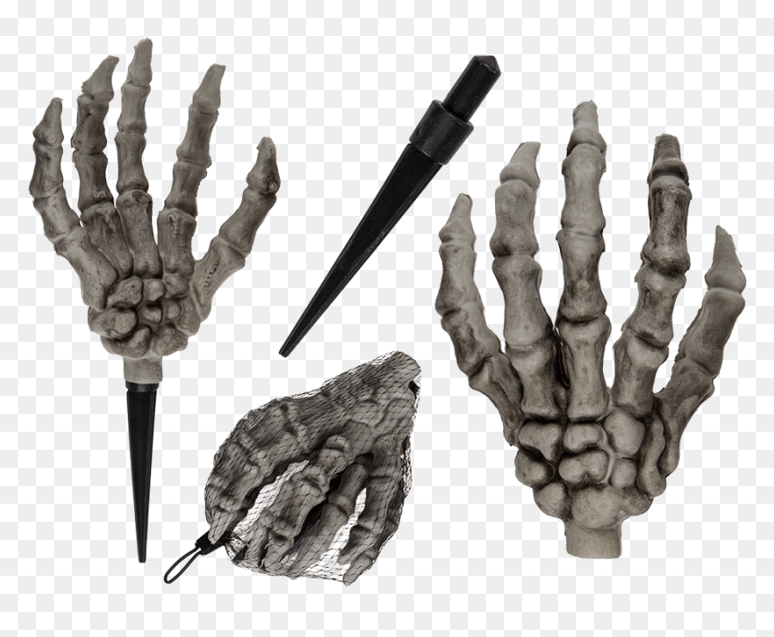 Skeleton, HD Png Download - skeleton hand png