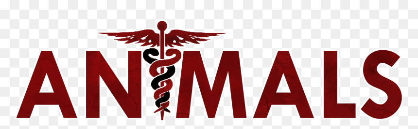 Transparent Title Png - Medical Symbol, Png Download - title png