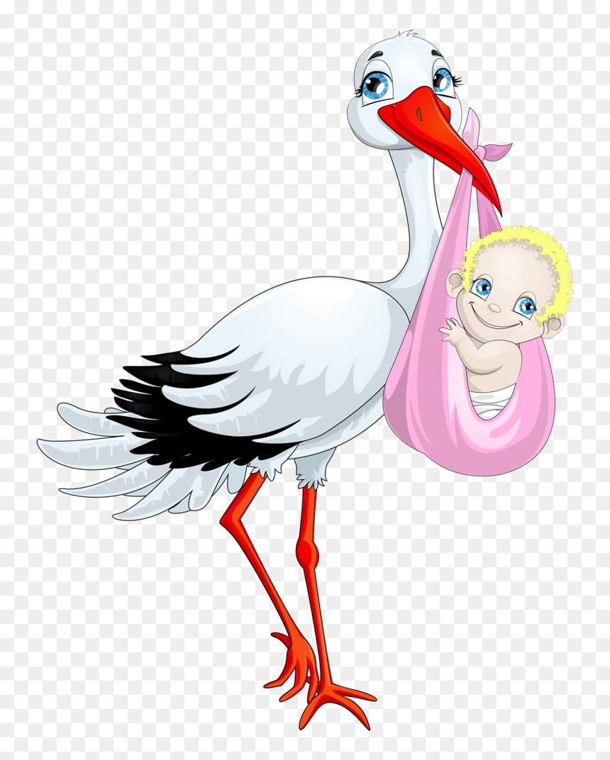 Bebê & Gestante - Storch Bringt Baby Mädchen, HD Png Download - stork png