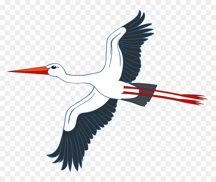 Stork Clipart - White Stork, HD Png Download - stork png