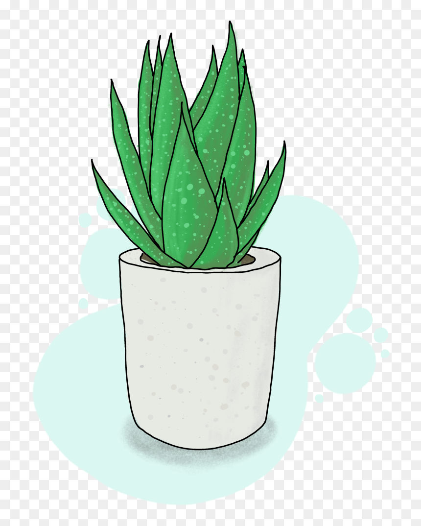 Aloe Png, Transparent Png - aloe png