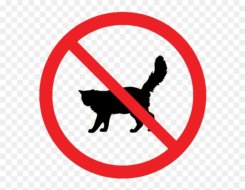 No Cats Allowed Sign - No Thumb Sucking Sign, HD Png Download - cat clipart png