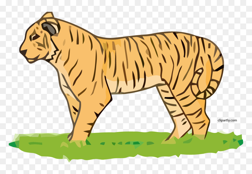 Tiger Cliparts, HD Png Download - tiger clipart png