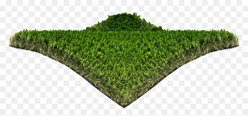 Hedge, HD Png Download - grass blade texture png