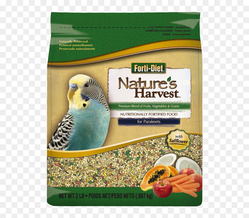 Cockatiel Food, HD Png Download - budgie png