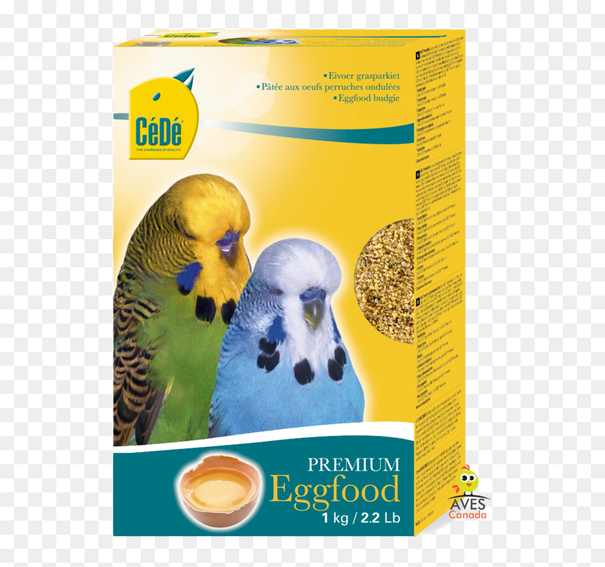 Cede Budgies, HD Png Download - budgie png