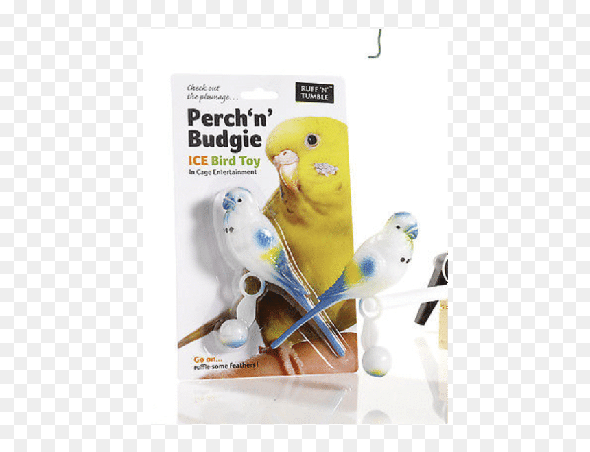 Bird Toys, HD Png Download - budgie png
