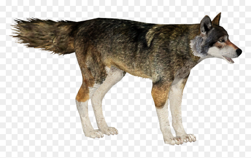 Mackenzie River Husky, HD Png Download - red wolf png