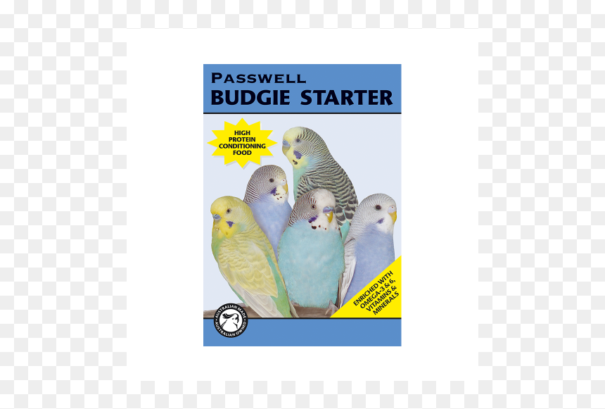 Budgie, HD Png Download - budgie png