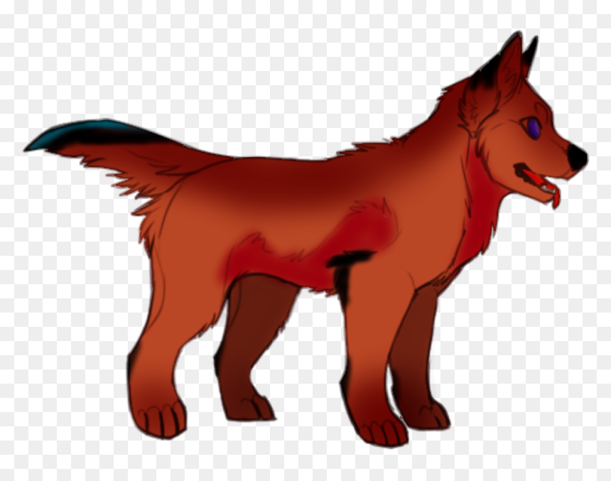 Black Norwegian Elkhound, HD Png Download - red wolf png