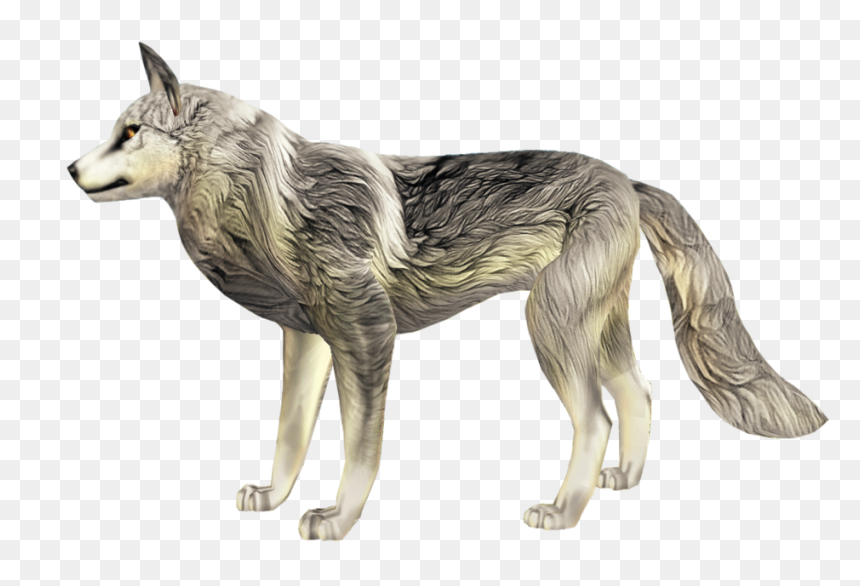 Dog Yawns, HD Png Download - red wolf png