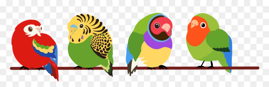 Budgie, HD Png Download - budgie png