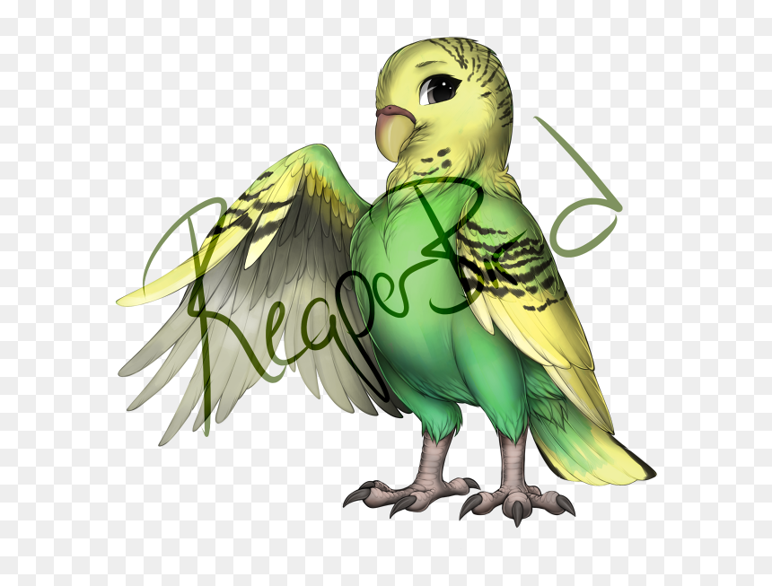 Budgie, HD Png Download - budgie png
