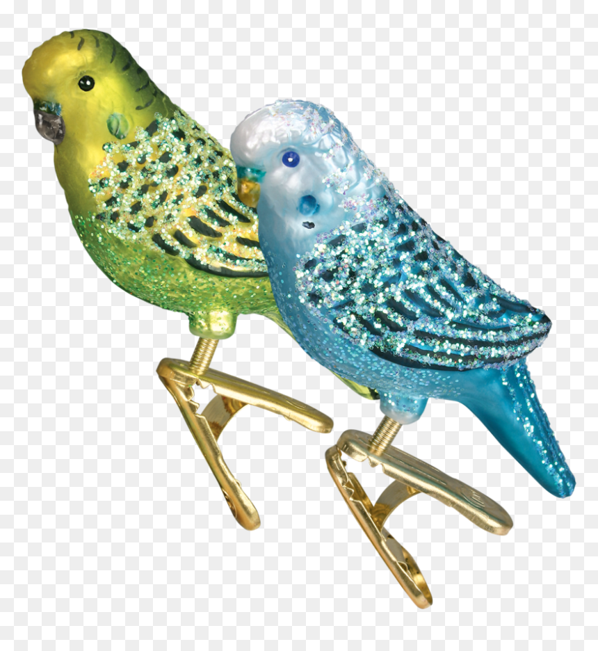 Budgie, HD Png Download - budgie png