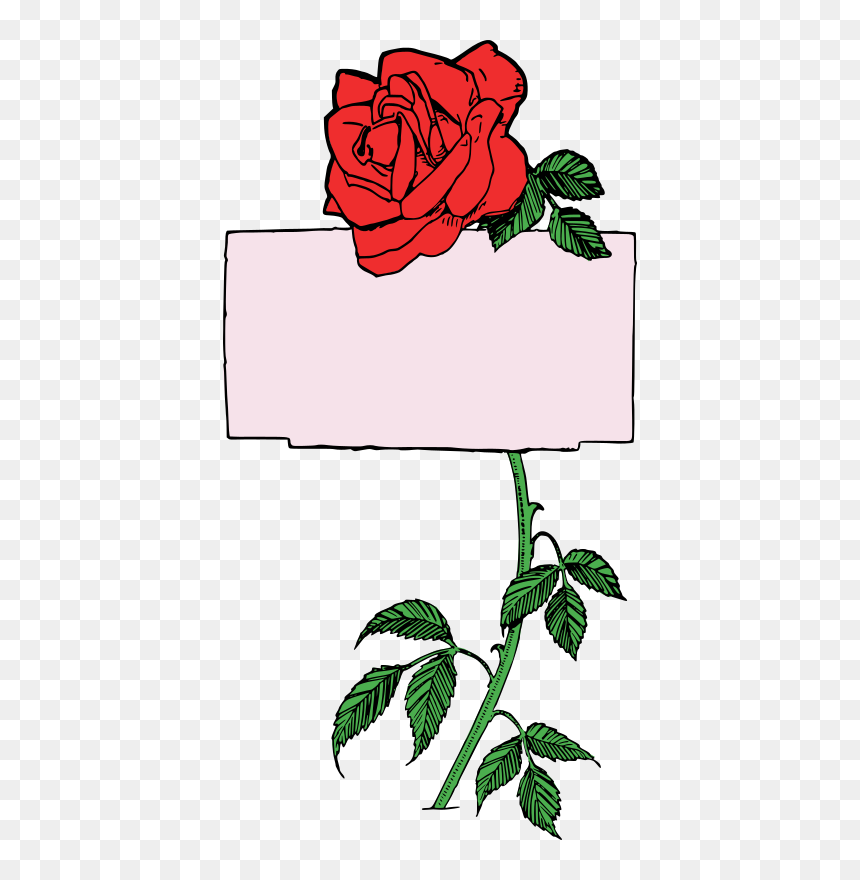 Rose Frame - Colour - Rose Free Frame, HD Png Download - rose frame png