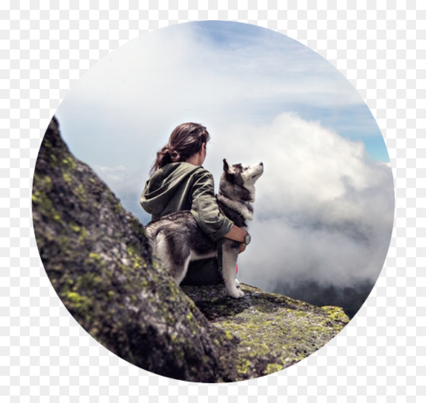 Training A Dog Can Be Hard, Annoying, And Frustrating - It's Better To Be Alone Without Friends, HD Png Download - annoying dog png