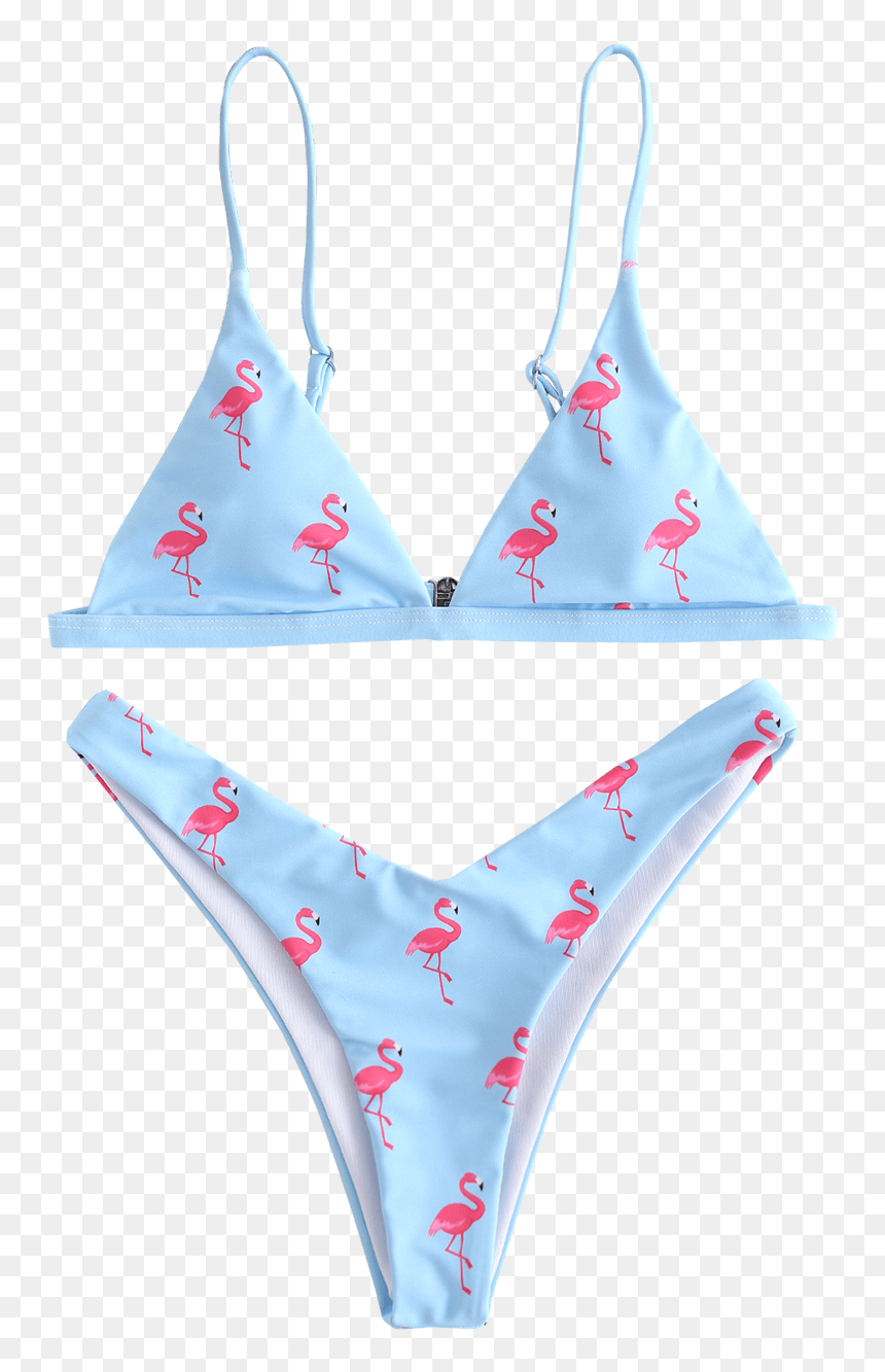 Flamingo Bikini, HD Png Download - bikini girl png