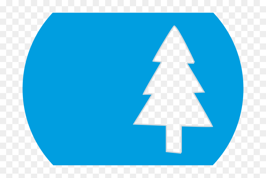 Tree Cut Big@2x - Circle, HD Png Download - big tree png