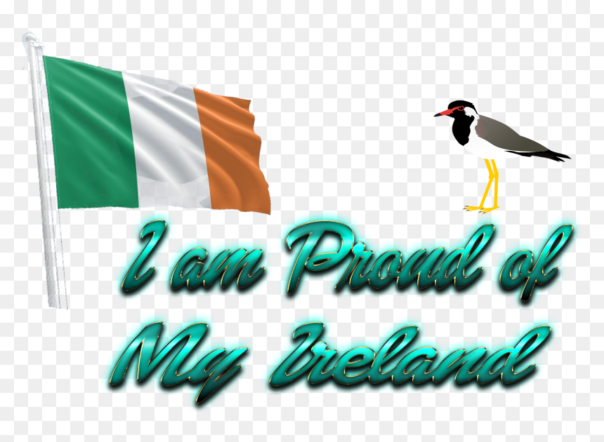 Ireland Flag Png - Seabird, Transparent Png - ireland flag png