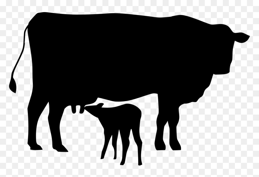 Cow And Cattle Cartoon, HD Png Download - cow icon png