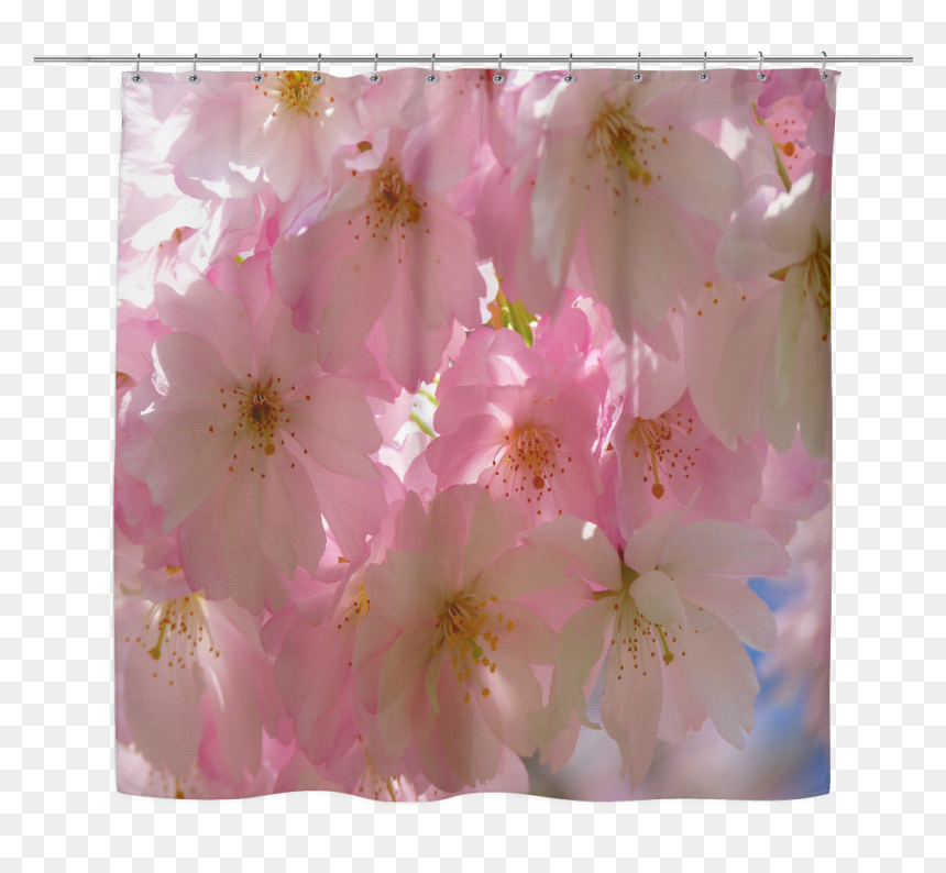Japanese Cherry Blossom Tree Shower Curtain - Cherry Blossom, HD Png Download - japanese cherry blossom png