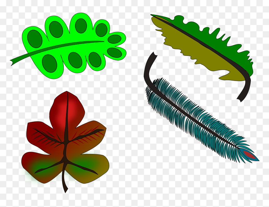 Leaves And Feather Clip Arts - Clip Art, HD Png Download - feather icon png