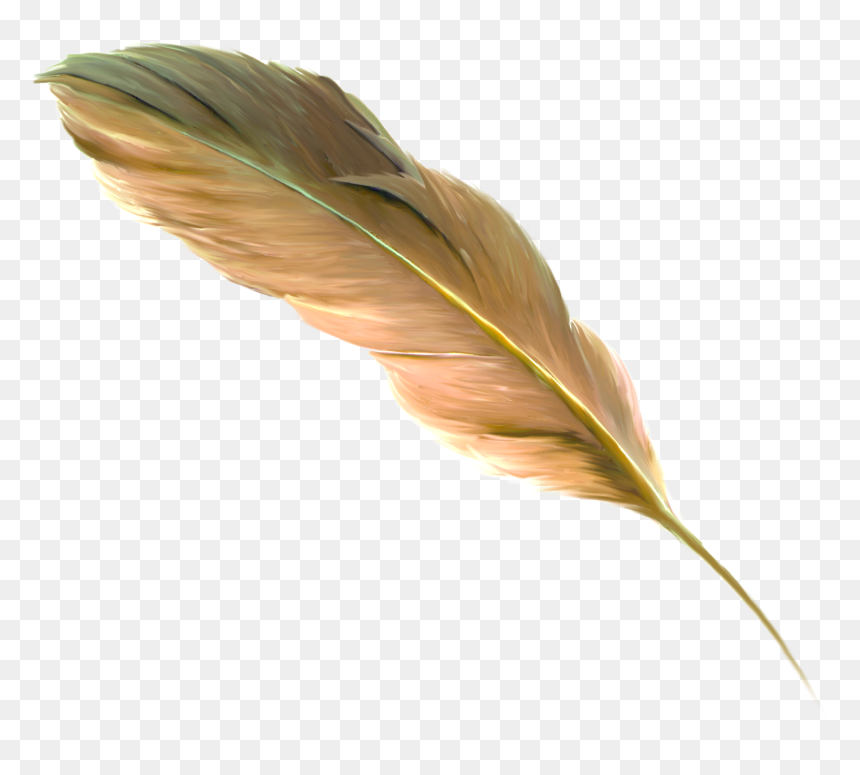 The Floating Feather Brown - Feather Of Brown Colour, HD Png Download - gold feather png