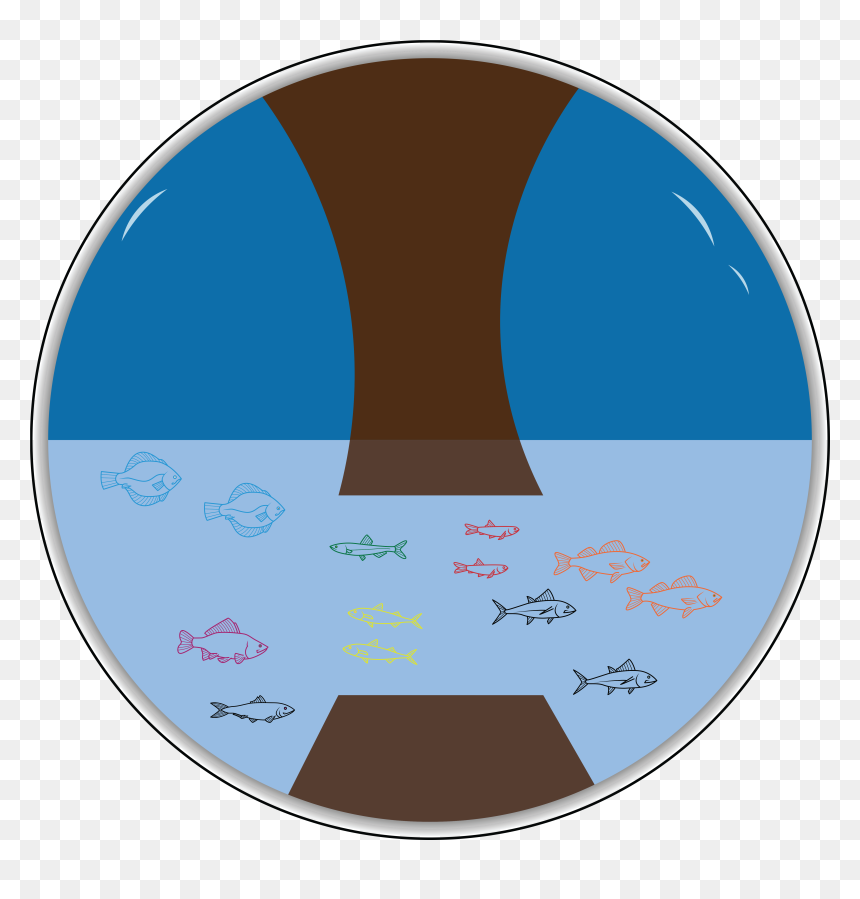 Glass Ball, HD Png Download - glass ball png