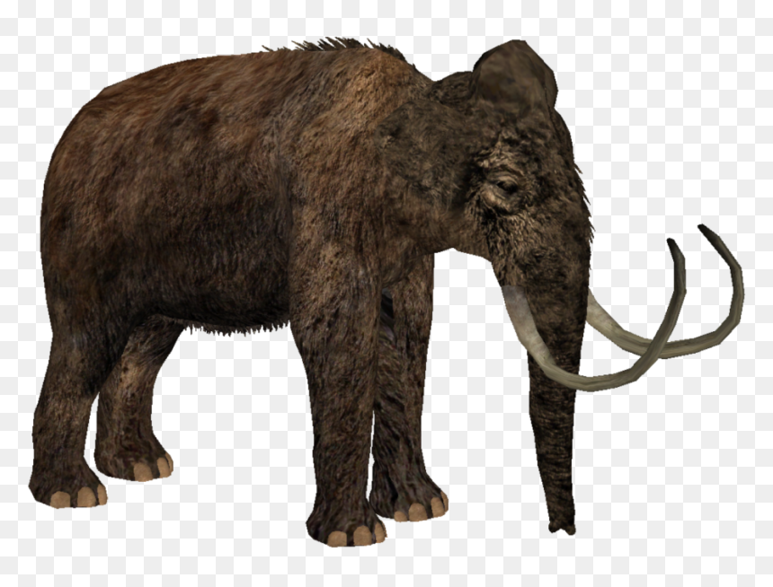 Thumb Image - Zoo Tycoon 2 Woolly Mammoth, HD Png Download - mammoth png