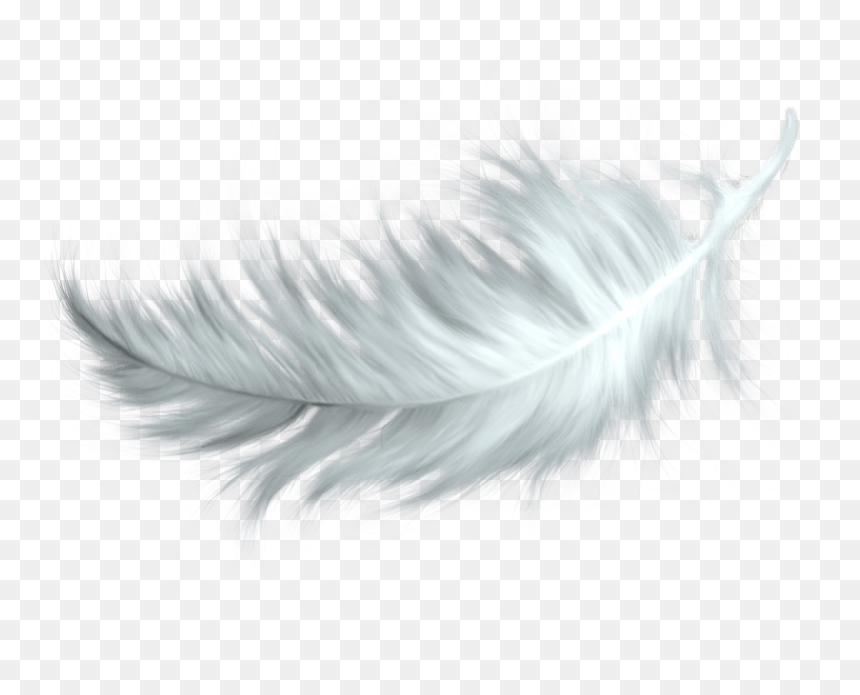 Transparent Background Feather Clipart Png, Png Download - gold feather png