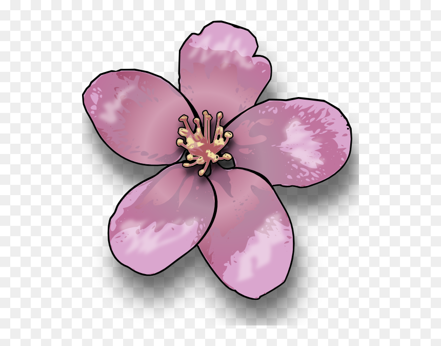 Apple Blossom Clip Art, HD Png Download - mexican flowers png
