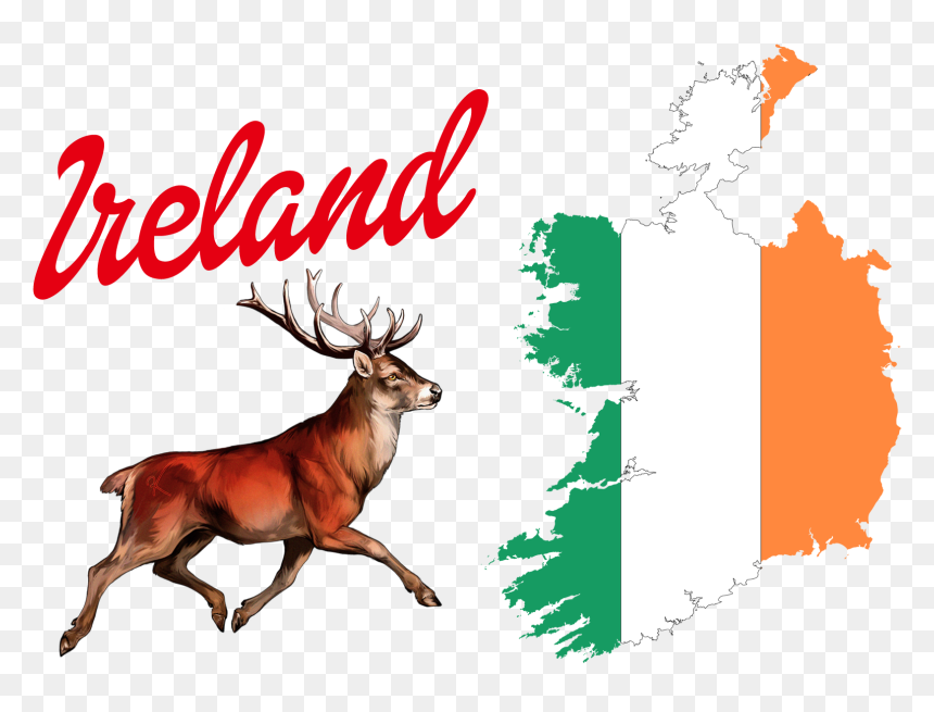 Ireland Flag Logo Png - Map Of Ireland With Flag, Transparent Png - ireland flag png