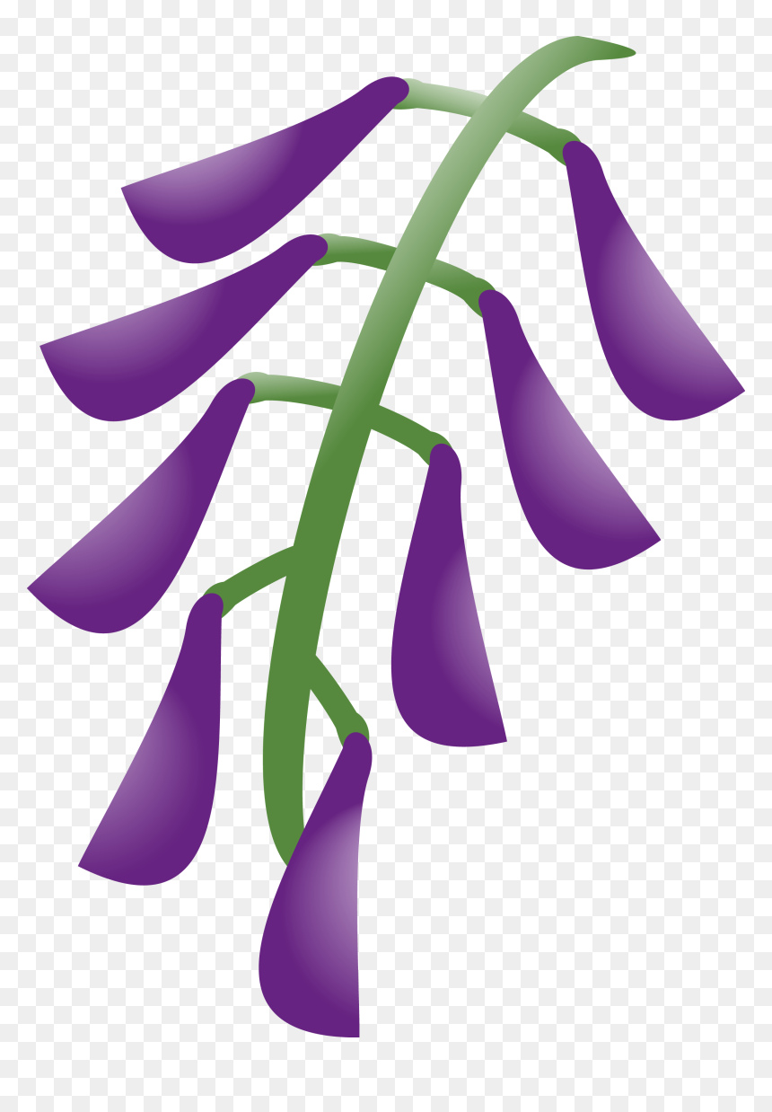 Graphic Design , Png Download - Graphic Design, Transparent Png - wisteria png