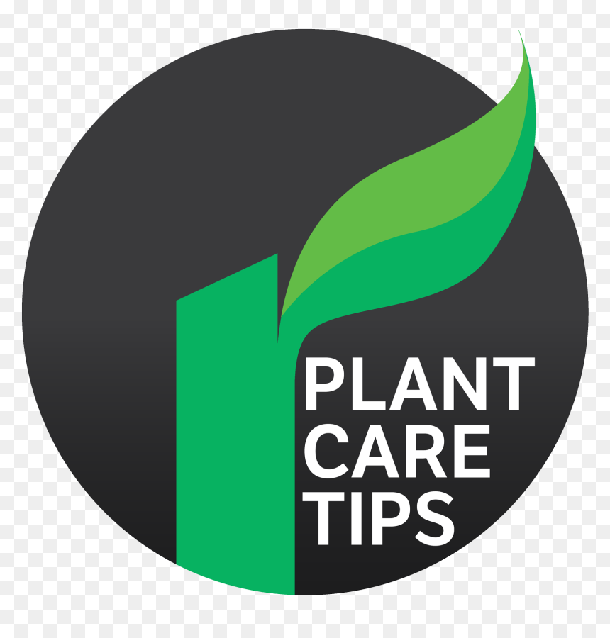 Plantcare Tip Icon - Plant-based Diet, HD Png Download - road icon png