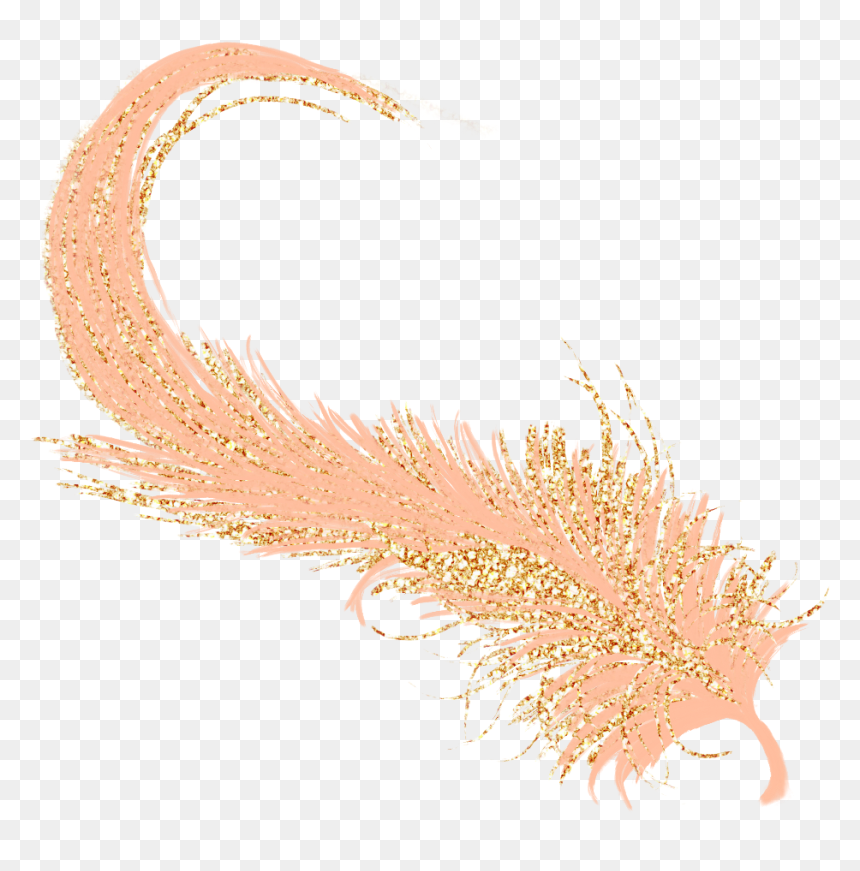 Feather Golden Gold Rosegold - Marine Invertebrates, HD Png Download - gold feather png