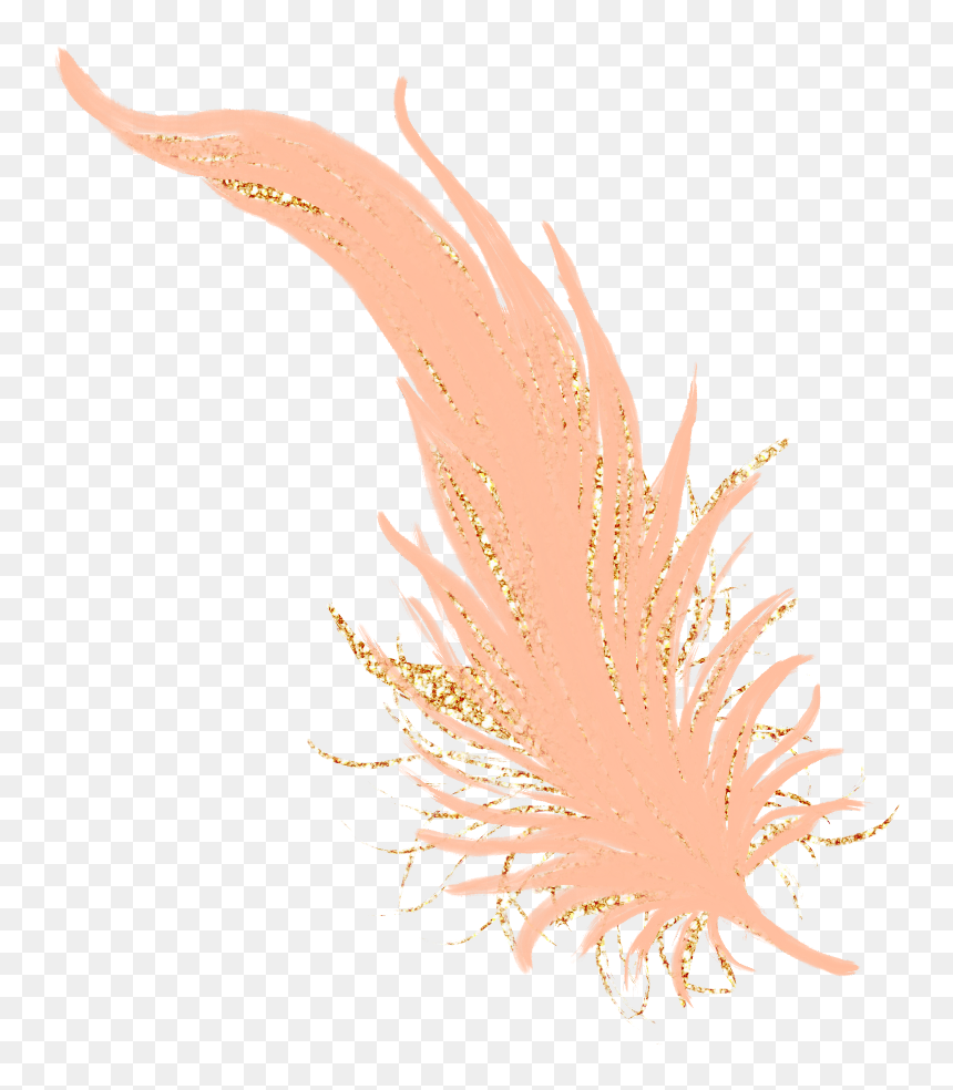 #feathers #feather #pastel #golden #gold #rosegold - Gold Pastel Feather, HD Png Download - gold feather png