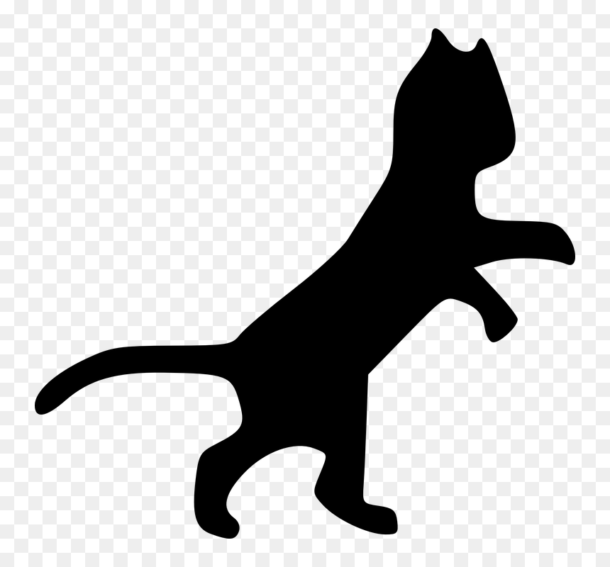 Cat Clip Art, HD Png Download - jumping cat png