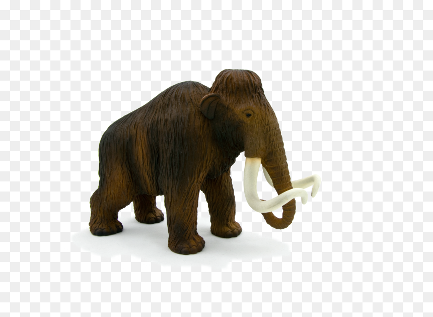 Animal Planet Wooly Mammoth , Png Download - Animal Planet Wooly Mammoth, Transparent Png - mammoth png