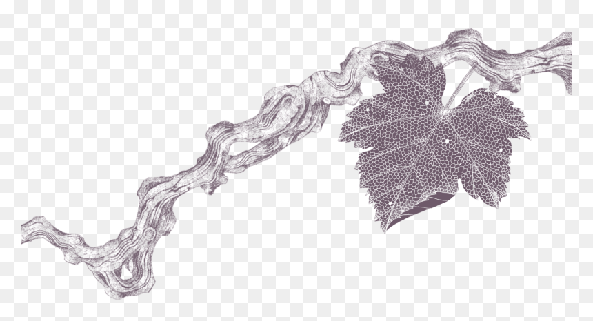 Thumb Image - Drawing, HD Png Download - tree sketch png
