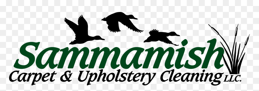 Sammamish Carpet Cleaning & Upholstery - Bird Of Prey, HD Png Download - wine stain png