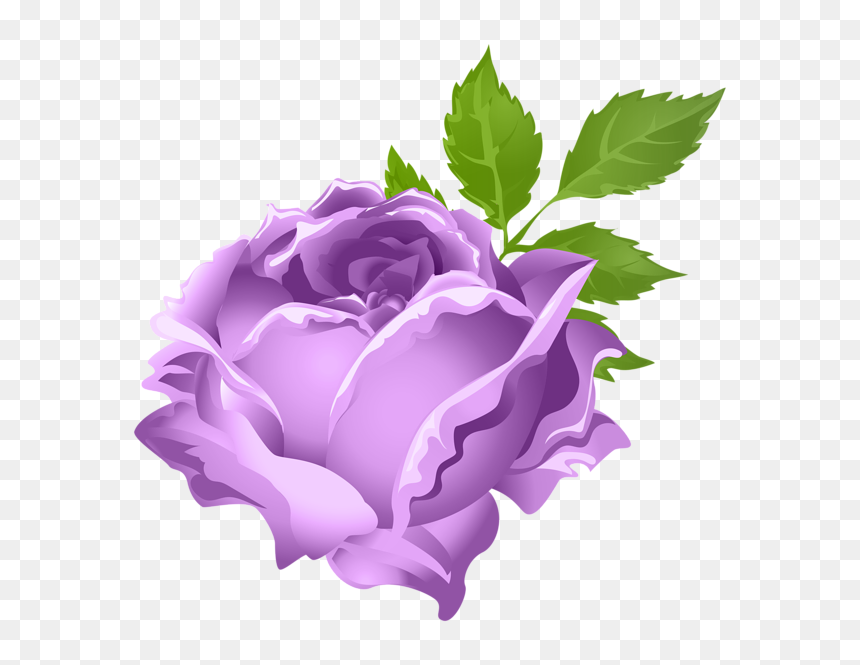 Transparent Rose Clipart - Purple Roses Clipart, HD Png Download - cartoon rose png