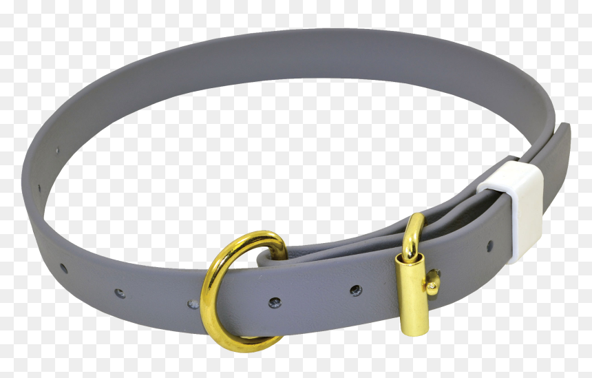 Dog Collar Png - Biothane Dog Collars, Transparent Png - collar png