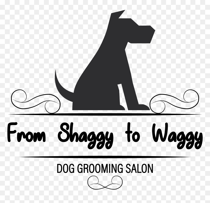 From Shaggy To Waggy, HD Png Download - shaggy png