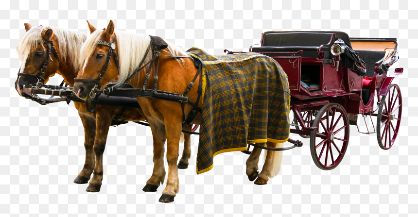 Carriage Png - Horse And Buggy Png, Transparent Png - tack png