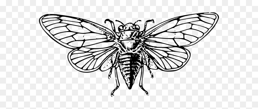 Cicada Png Clip Art - Cicada Clipart Png, Transparent Png - castle silhouette png