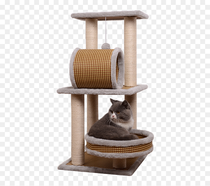 Cat Grabs Treat, HD Png Download - jumping cat png